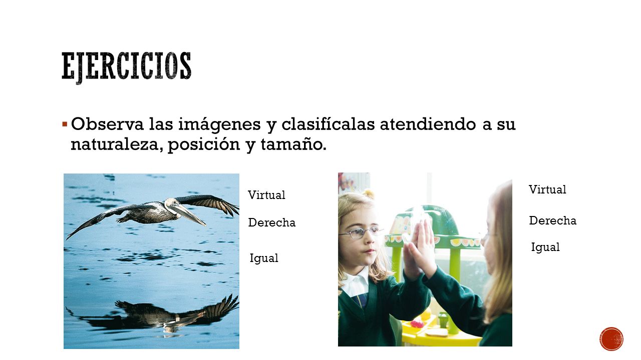 Ejercicios Observa las imágenes y clasifícalas atendiendo a su naturaleza, posición y tamaño. Virtual.