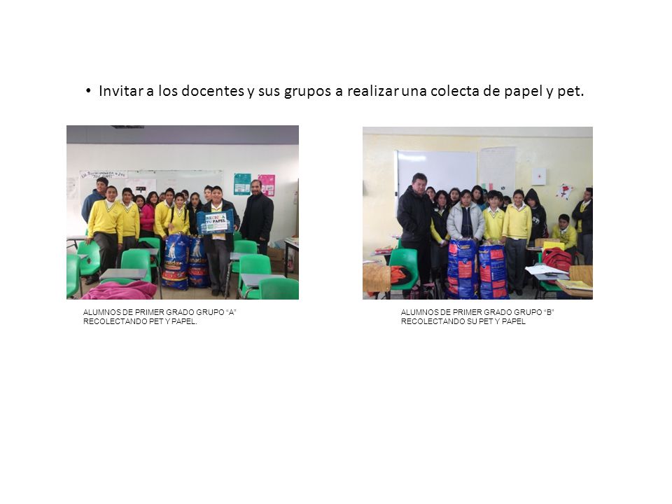 Invitar a los docentes y sus grupos a realizar una colecta de papel y pet.