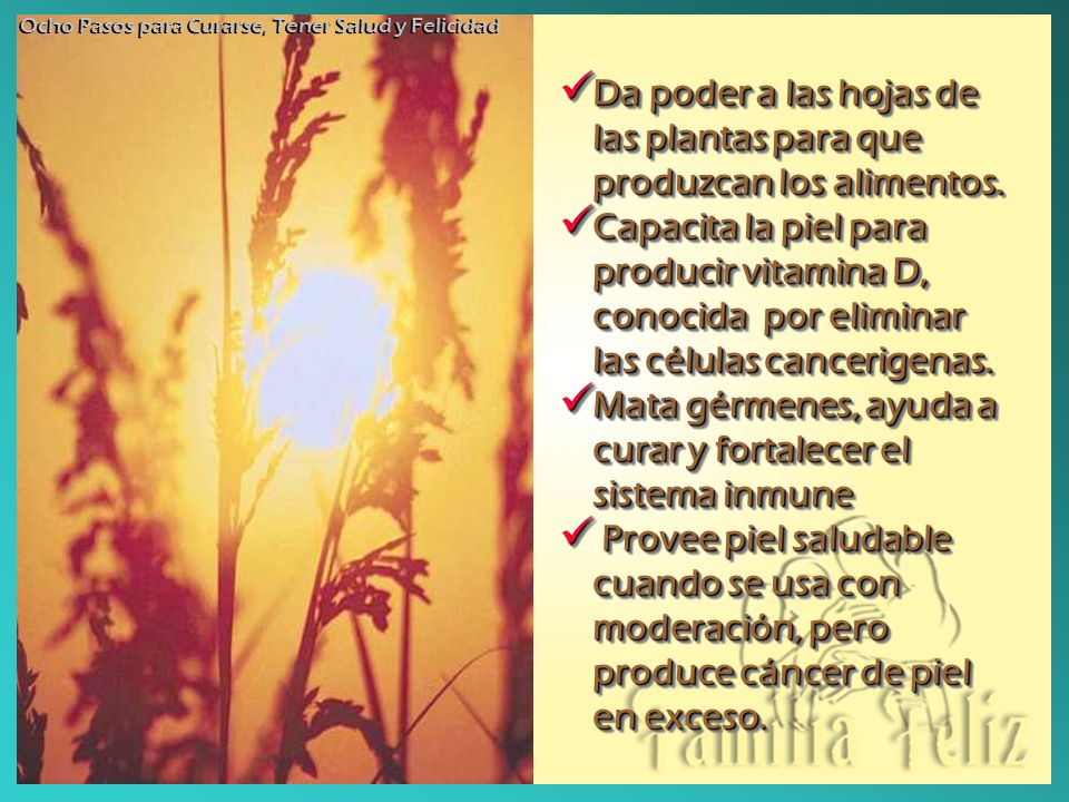Da poder a las hojas de las plantas para que produzcan los alimentos.