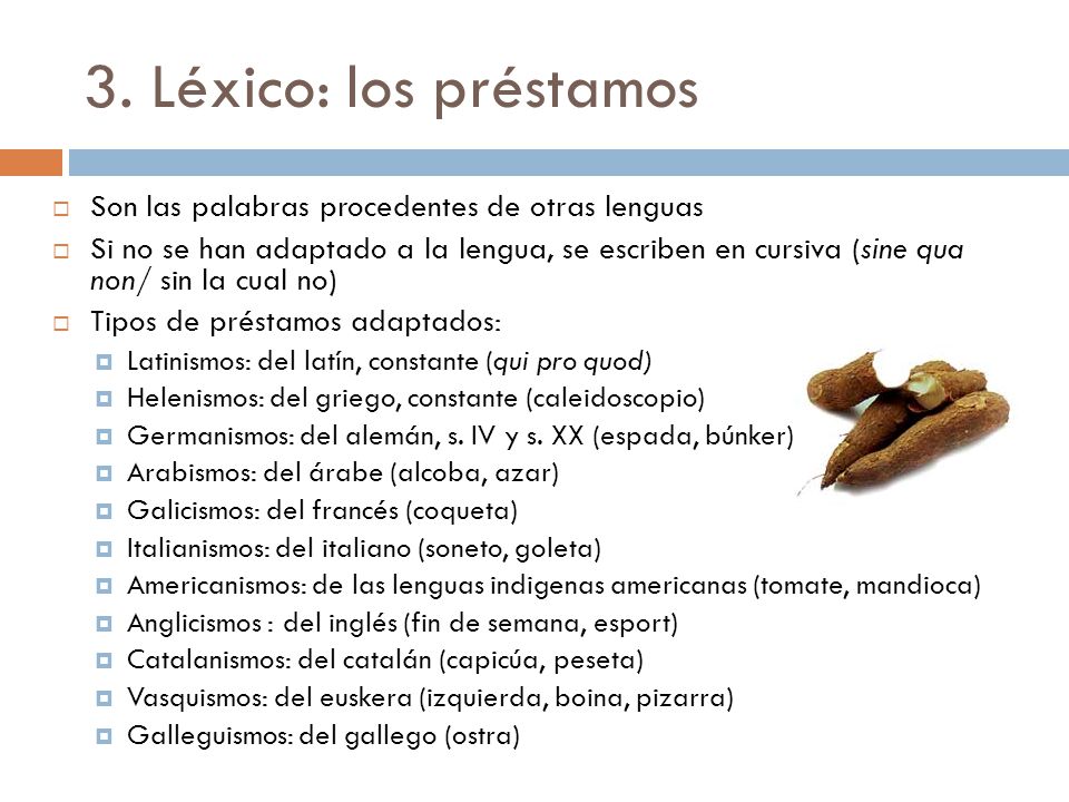 3. Léxico: los préstamos Son las palabras procedentes de otras lenguas