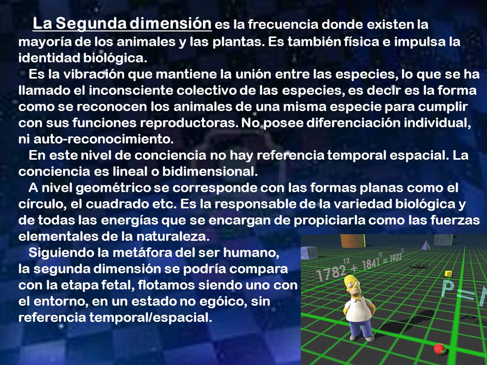 La Segunda dimensión es la frecuencia donde existen la mayoría de los animales y las plantas. Es también física e impulsa la identidad biológica.