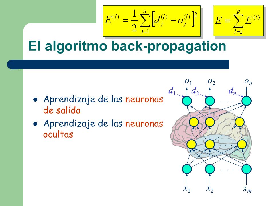 El algoritmo back-propagation