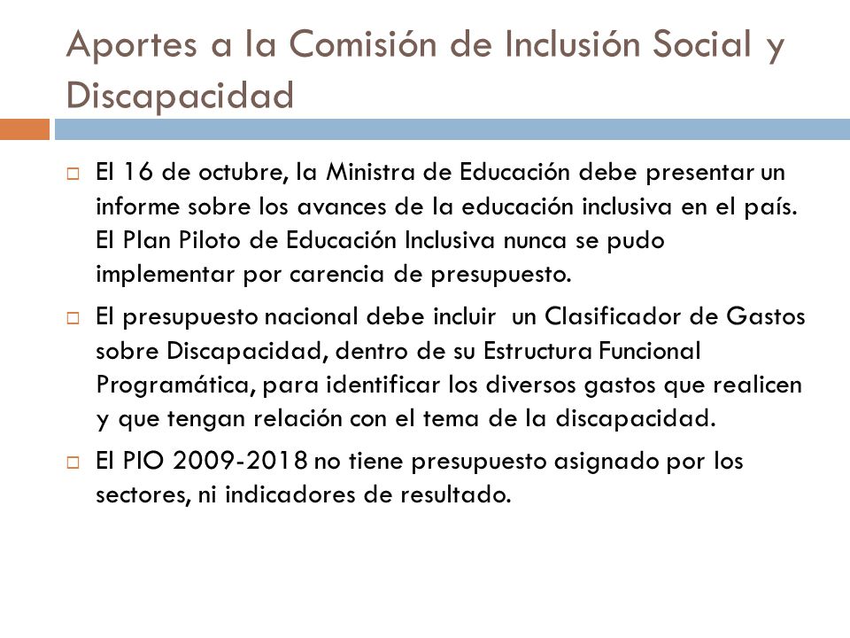 Aportes a la Comisión de Inclusión Social y Discapacidad