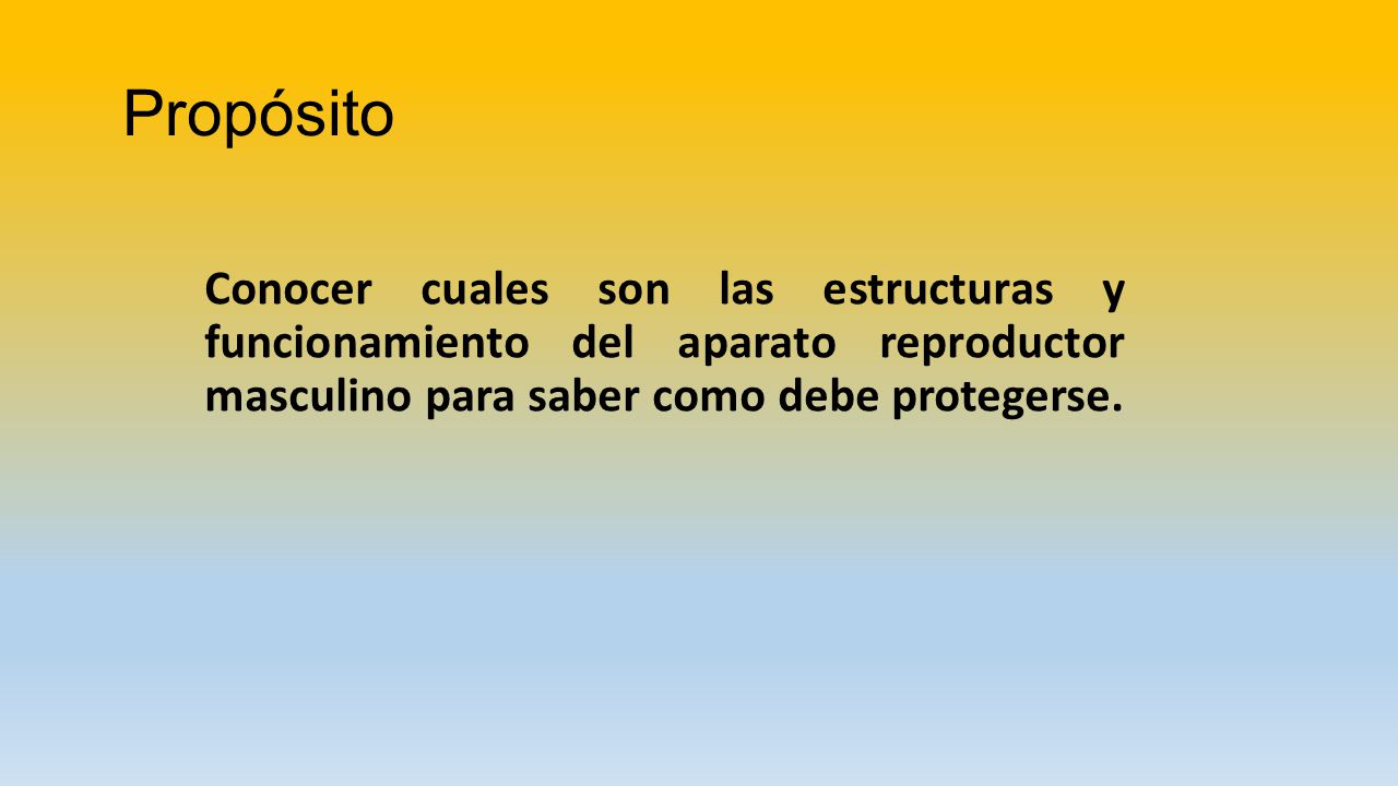 Propósito Conocer cuales son las estructuras y funcionamiento del aparato reproductor masculino para saber como debe protegerse.