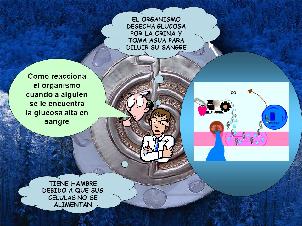 TIENE HAMBRE DEBIDO A QUE SUS CELULAS NO SE ALIMENTAN