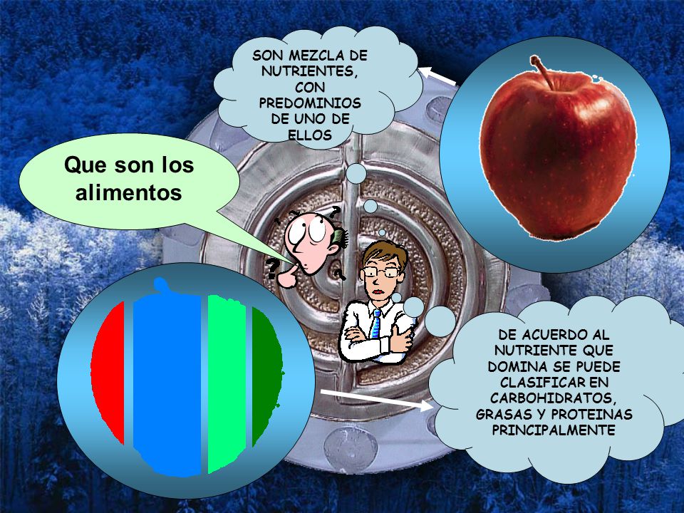 SON MEZCLA DE NUTRIENTES, CON PREDOMINIOS DE UNO DE ELLOS