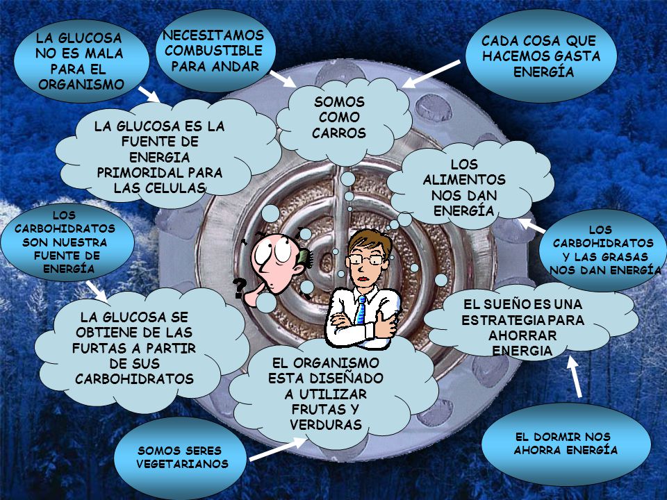 LA GLUCOSA ES LA FUENTE DE ENERGIA PRIMORIDAL PARA LAS CELULAS