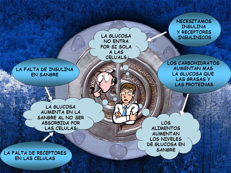 LA GLUCOSA NO ENTRA POR SI SOLA A LAS CELUALS