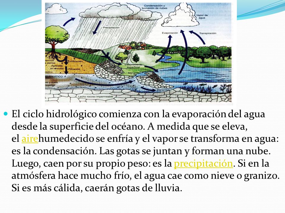 El ciclo hidrológico comienza con la evaporación del agua desde la superficie del océano.