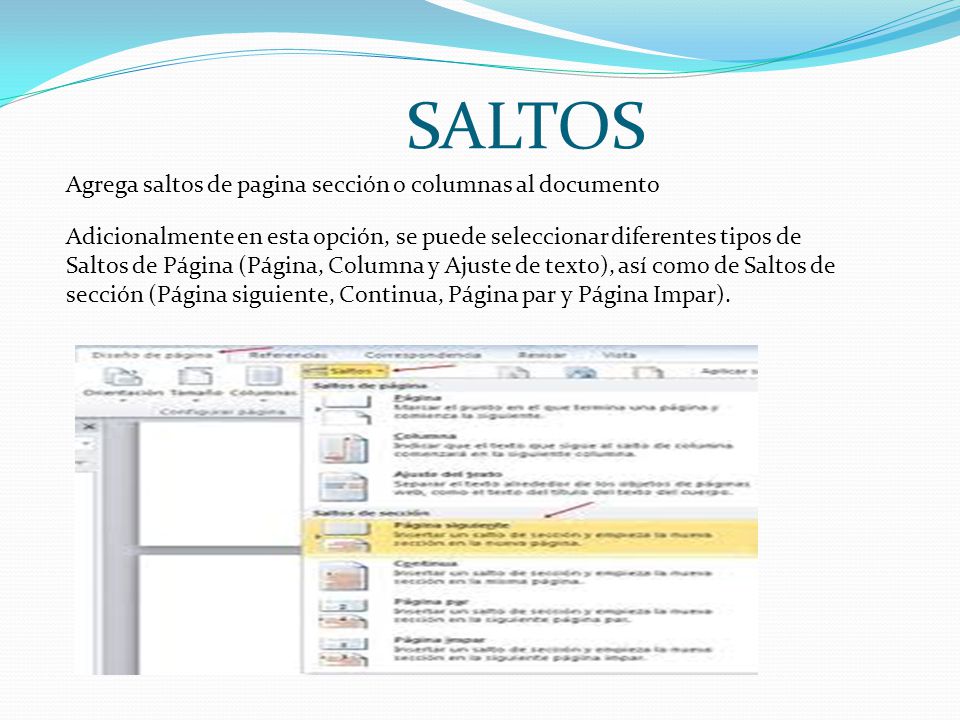 SALTOS Agrega saltos de pagina sección o columnas al documento