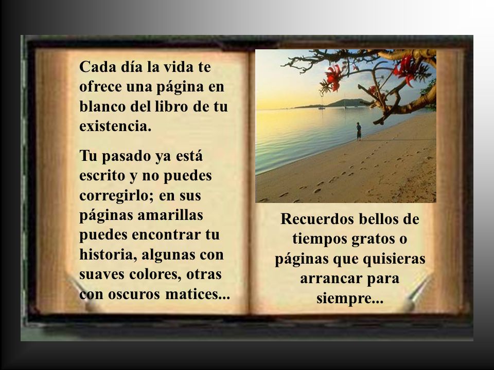 Cada día la vida te ofrece una página en blanco del libro de tu existencia.