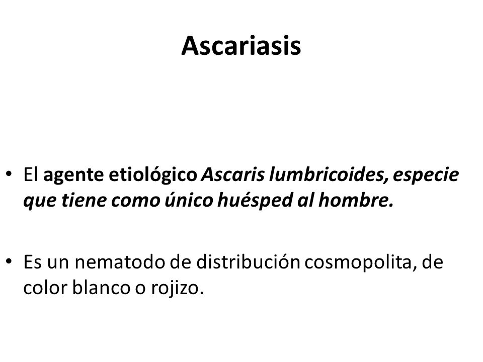 Ascariasis El agente etiológico Ascaris lumbricoides, especie que tiene como único huésped al hombre.