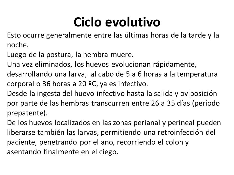 Ciclo evolutivo Esto ocurre generalmente entre las últimas horas de la tarde y la. noche. Luego de la postura, la hembra muere.