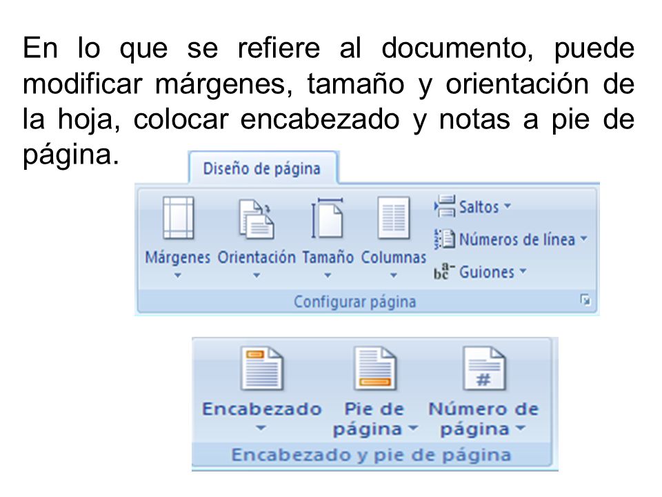 En lo que se refiere al documento, puede modificar márgenes, tamaño y orientación de la hoja, colocar encabezado y notas a pie de página.