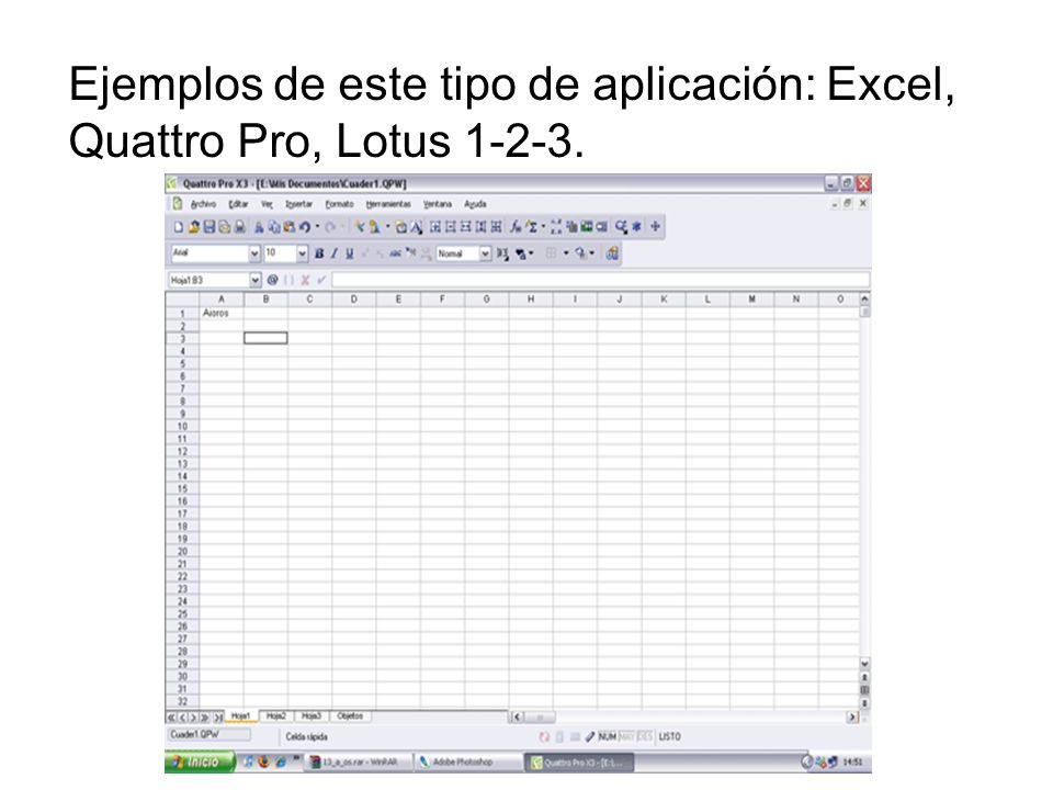 Ejemplos de este tipo de aplicación: Excel, Quattro Pro, Lotus