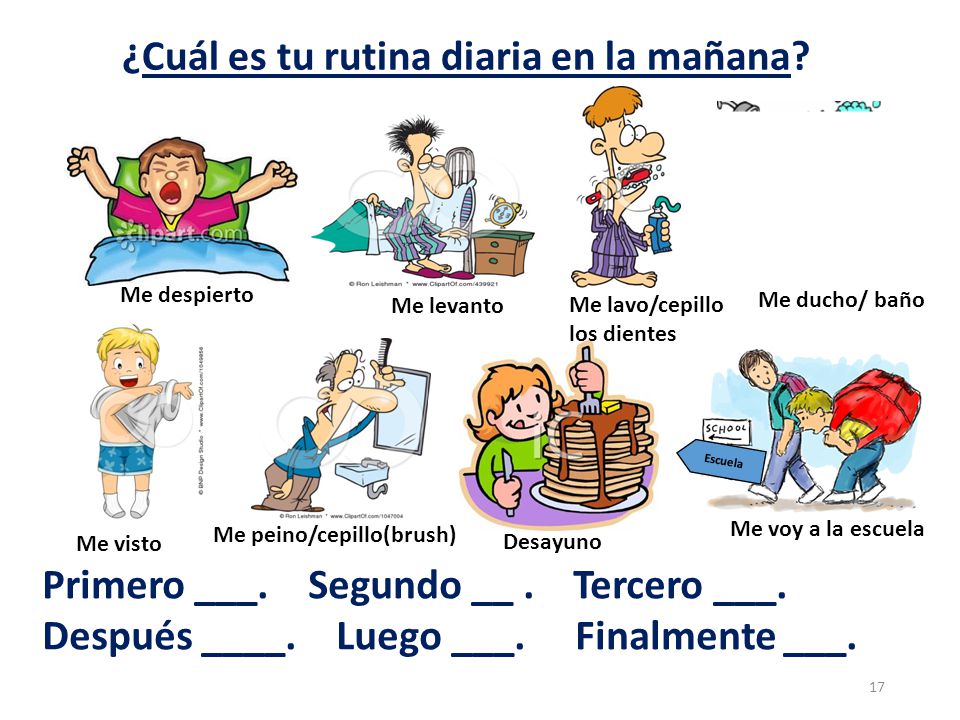 ¿Cuál es tu rutina diaria en la mañana