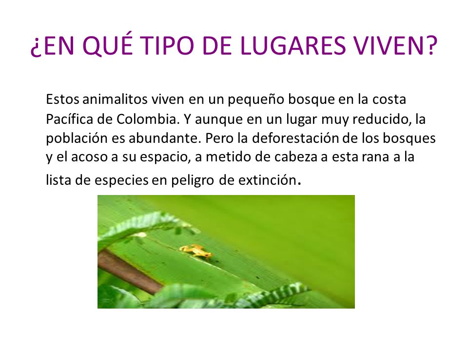 ¿EN QUÉ TIPO DE LUGARES VIVEN