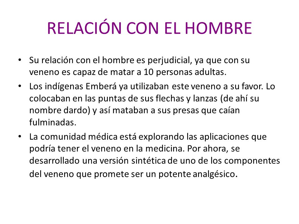 RELACIÓN CON EL HOMBRE Su relación con el hombre es perjudicial, ya que con su veneno es capaz de matar a 10 personas adultas.
