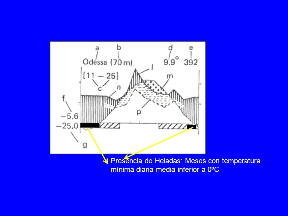 Presencia de Heladas: Meses con temperatura mínima diaria media inferior a 0ºC