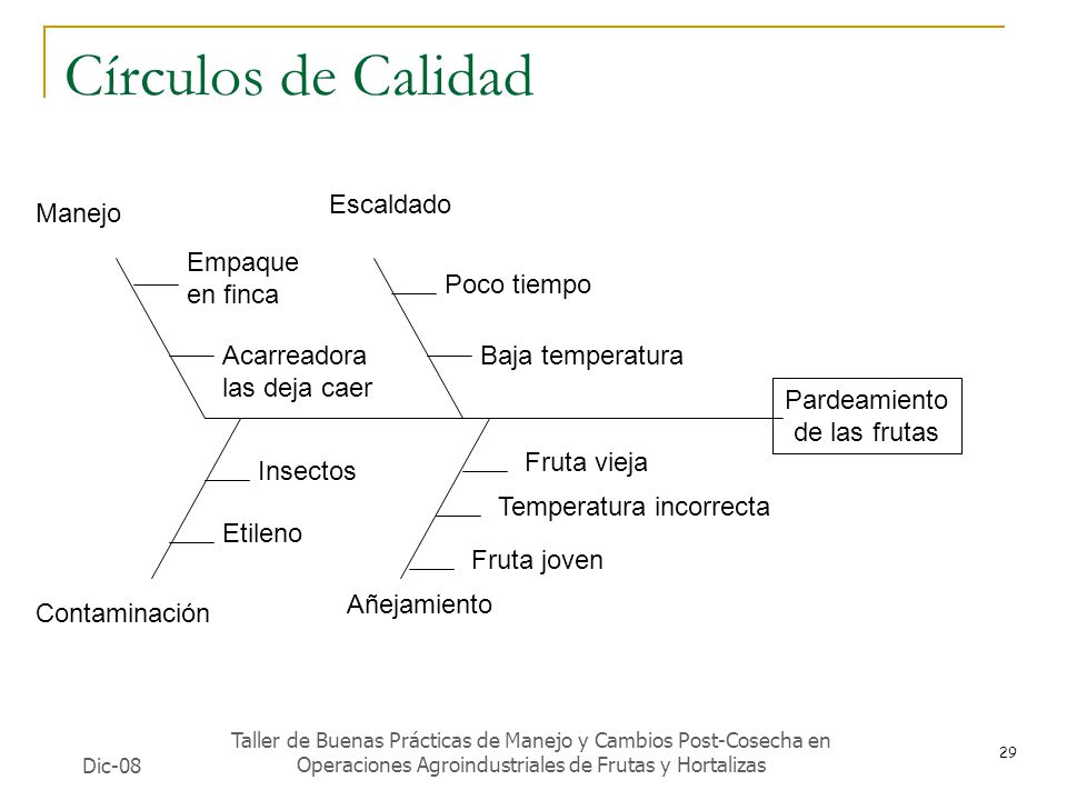 Círculos de Calidad Escaldado Manejo Empaque en finca Poco tiempo