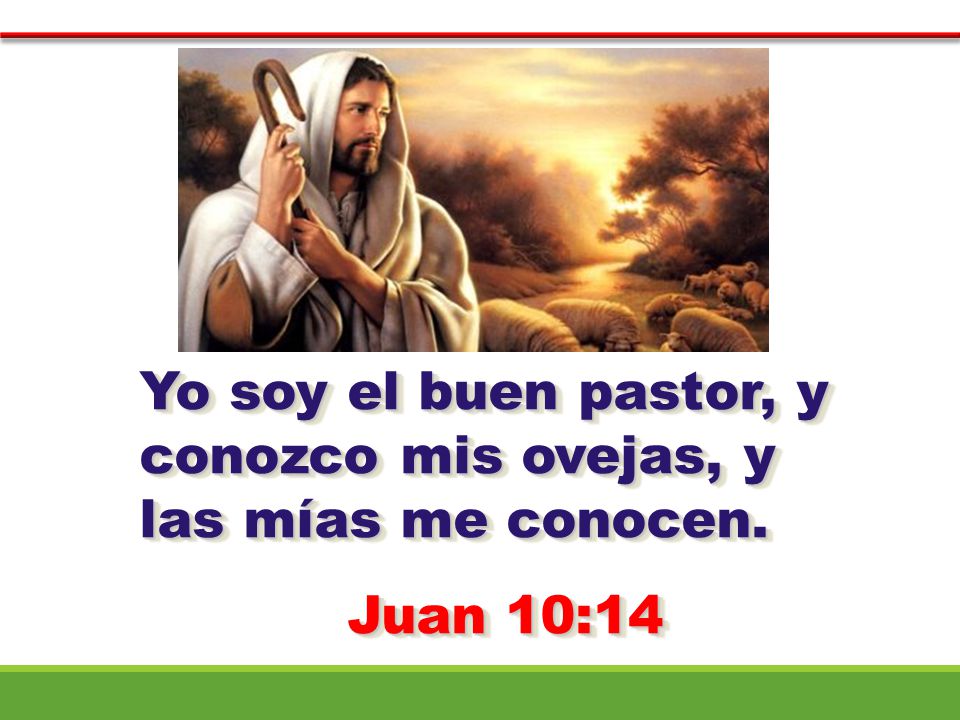 Yo soy el buen pastor, y conozco mis ovejas, y las mías me conocen.