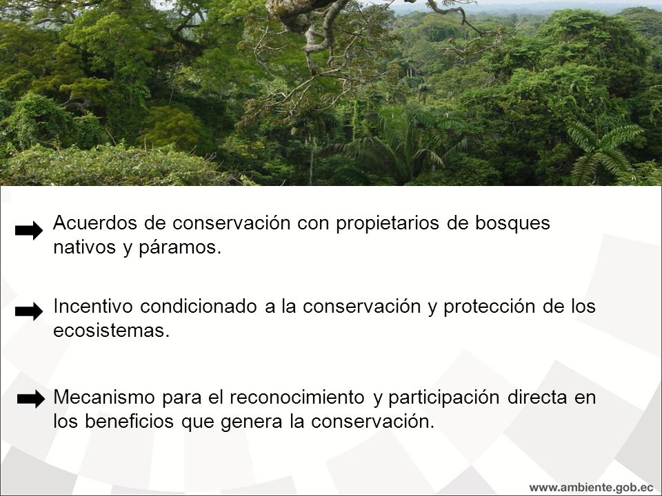 18/10/11 Acuerdos de conservación con propietarios de bosques nativos y páramos.