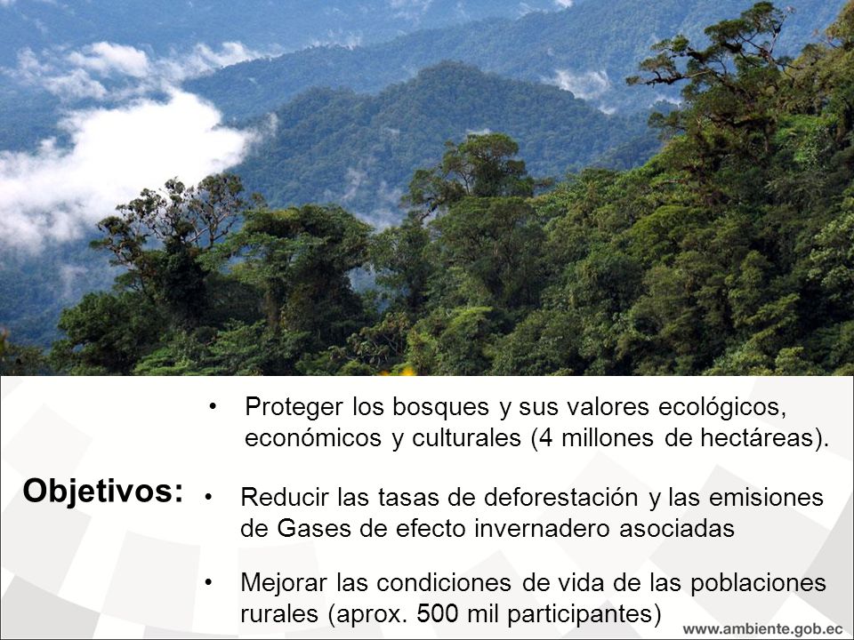 18/10/11 Proteger los bosques y sus valores ecológicos, económicos y culturales (4 millones de hectáreas).