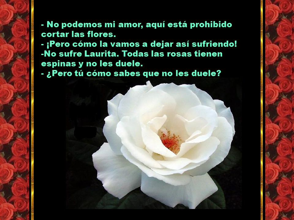 - No podemos mi amor, aquí está prohibido cortar las flores.