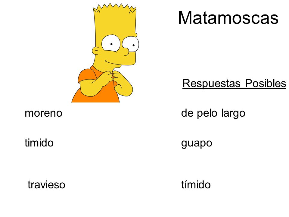 Matamoscas Respuestas Posibles moreno de pelo largo timido guapo