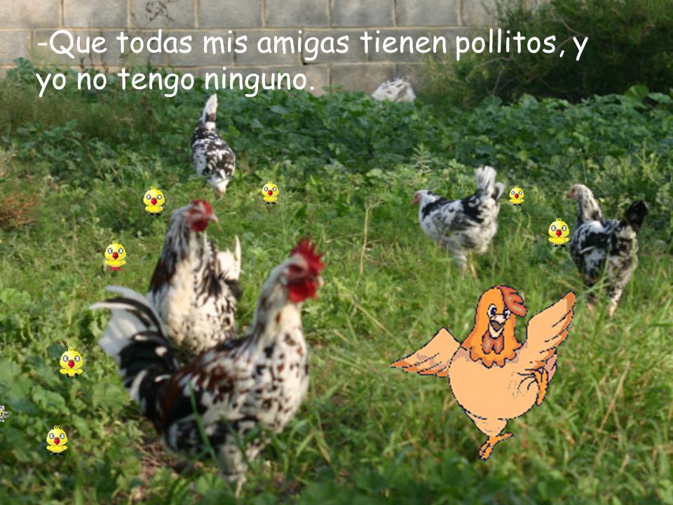 -Que todas mis amigas tienen pollitos, y yo no tengo ninguno.