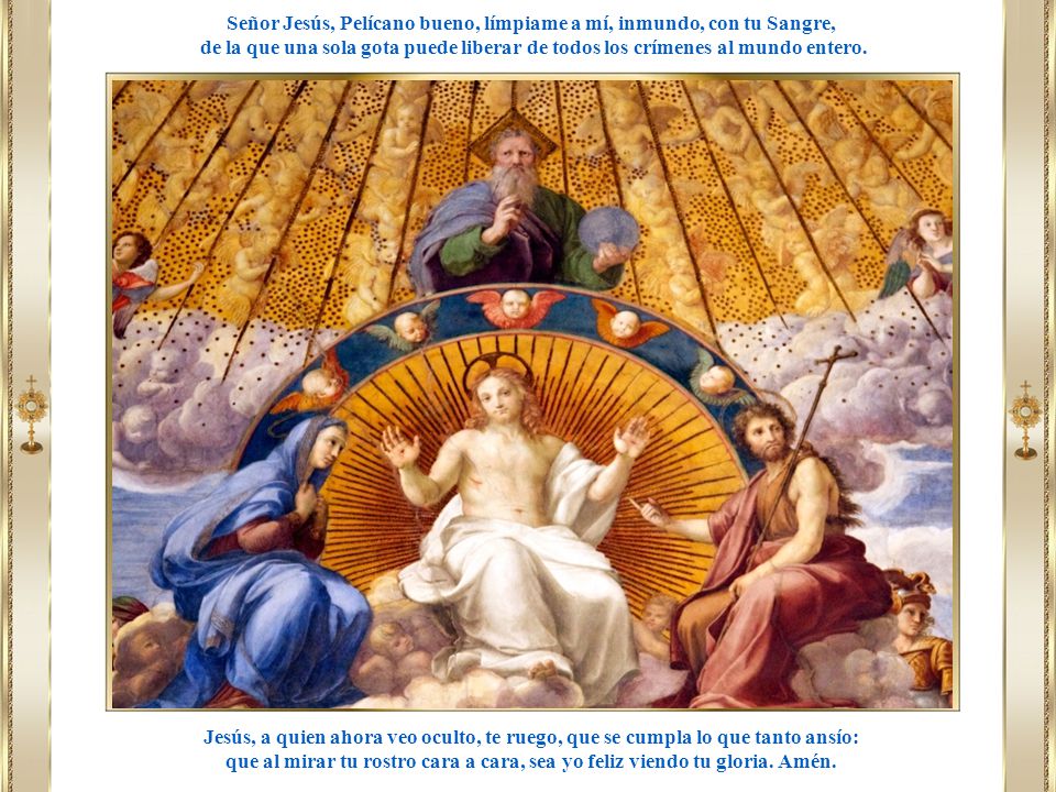 Señor Jesús, Pelícano bueno, límpiame a mí, inmundo, con tu Sangre,