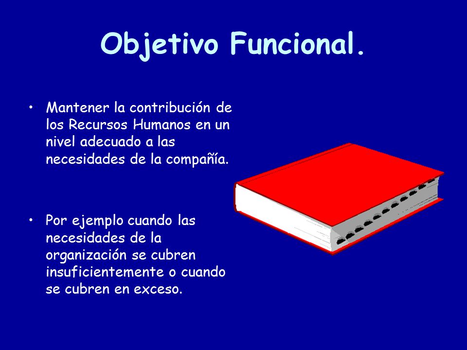 Objetivo Funcional. Mantener la contribución de los Recursos Humanos en un nivel adecuado a las necesidades de la compañía.