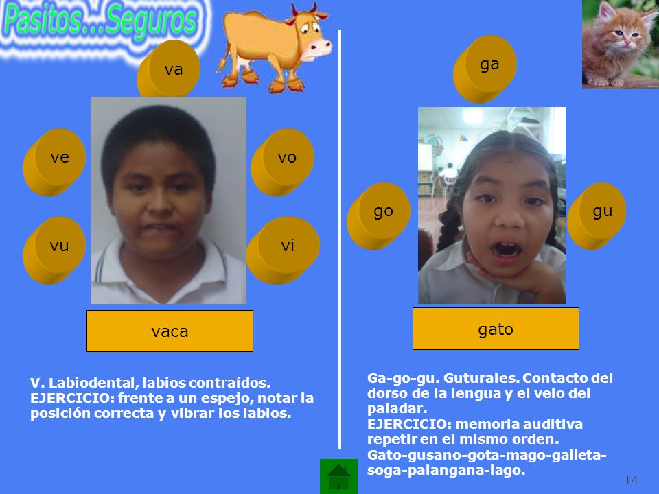 ga va ve vo go gu vu vi vaca gato