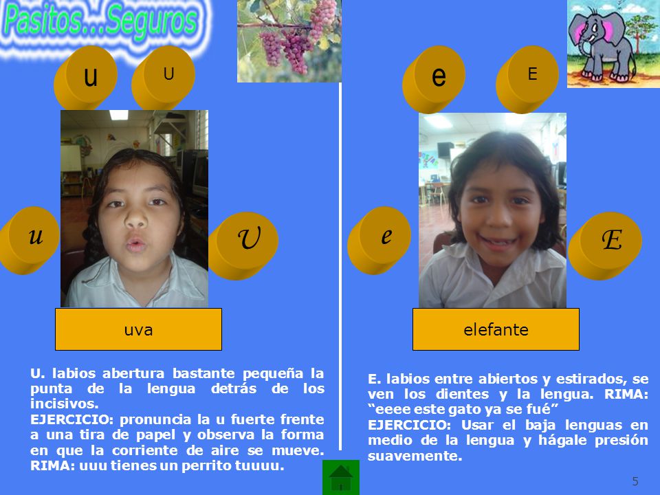 u U. e. E. u. e. U. E. uva. elefante. U. labios abertura bastante pequeña la punta de la lengua detrás de los incisivos.
