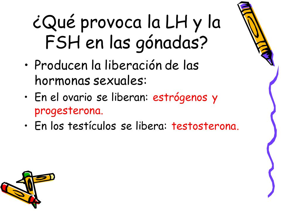 ¿Qué provoca la LH y la FSH en las gónadas