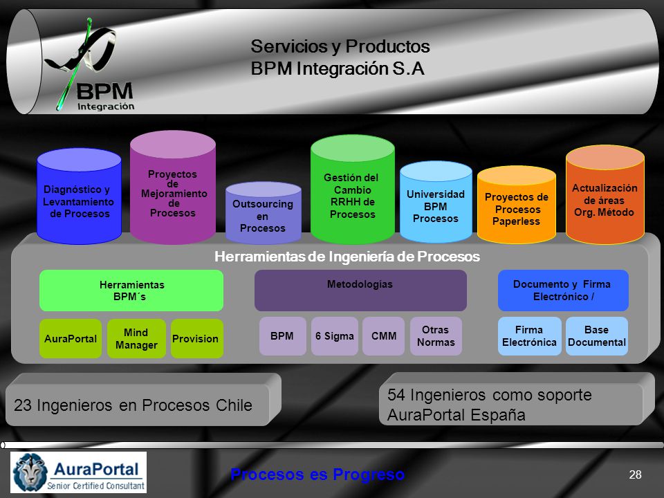 Servicios y Productos BPM Integración S.A 54 Ingenieros como soporte