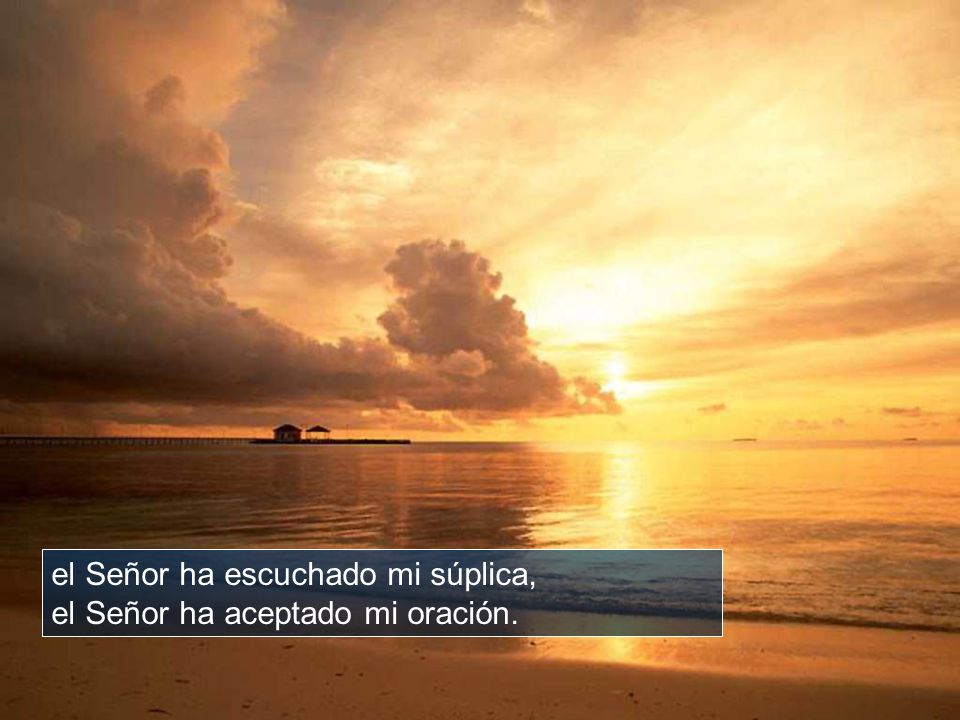 el Señor ha escuchado mi súplica, el Señor ha aceptado mi oración.