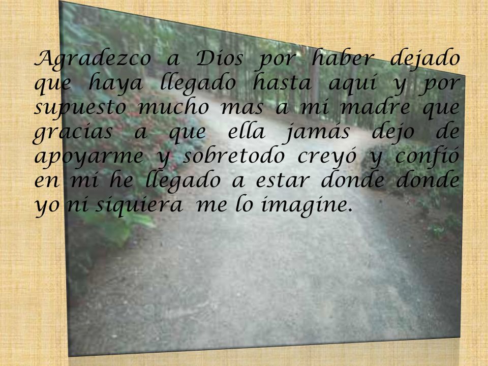 Agradezco a Dios por haber dejado que haya llegado hasta aquí y por supuesto mucho mas a mi madre que gracias a que ella jamás dejo de apoyarme y sobretodo creyó y confió en mi he llegado a estar donde donde yo ni siquiera me lo imagine.