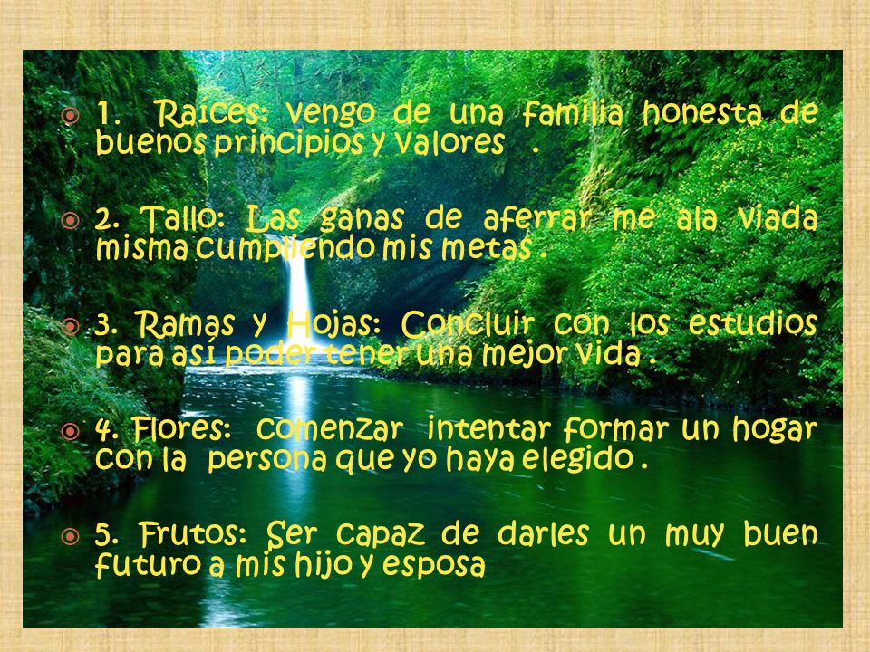 1. Raíces: vengo de una familia honesta de buenos principios y valores .