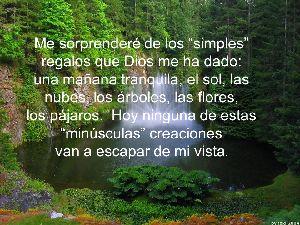 Me sorprenderé de los simples regalos que Dios me ha dado: