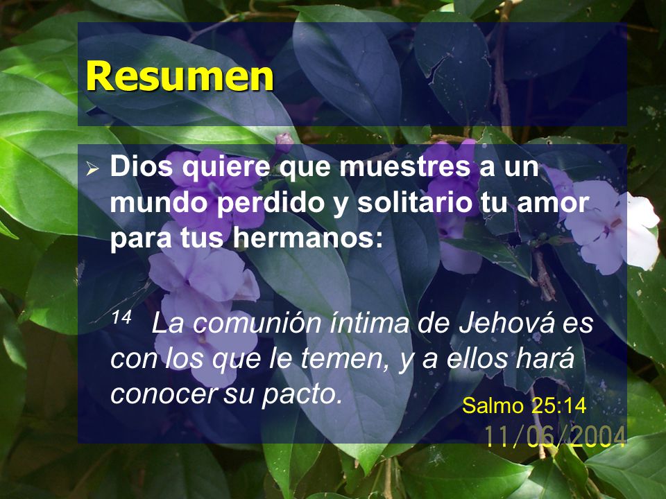 Resumen Dios quiere que muestres a un mundo perdido y solitario tu amor para tus hermanos: