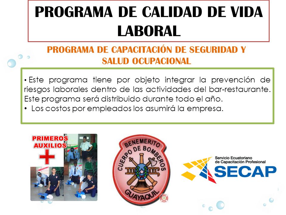 PROGRAMA DE CALIDAD DE VIDA LABORAL