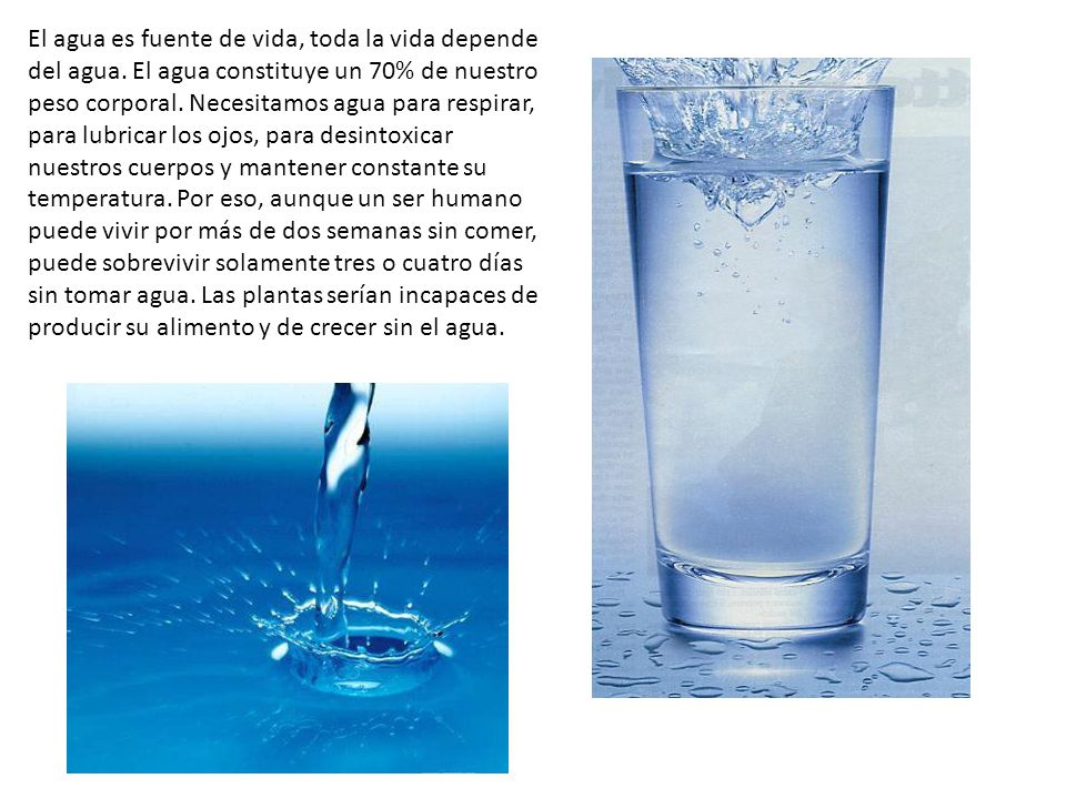 El agua es fuente de vida, toda la vida depende del agua