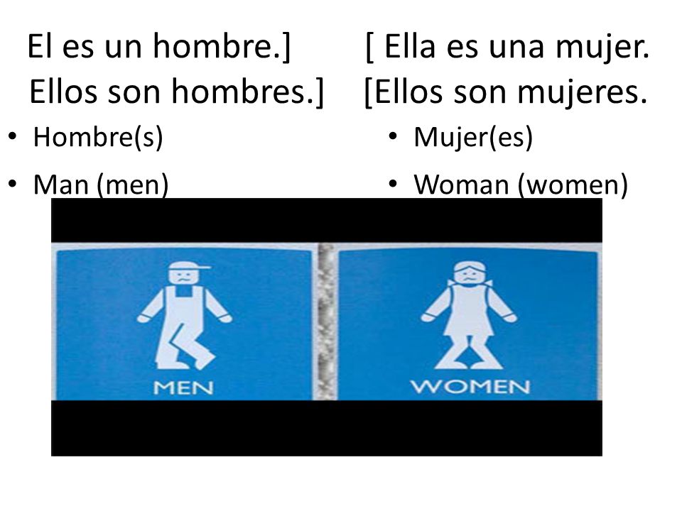 El es un hombre. ] [ Ella es una mujer. Ellos son hombres