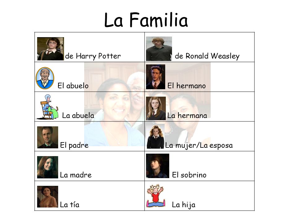 La Familia de Harry Potter de Ronald Weasley El abuelo El hermano