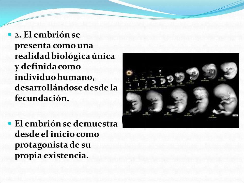 2. El embrión se presenta como una realidad biológica única y definida como individuo humano, desarrollándose desde la fecundación.