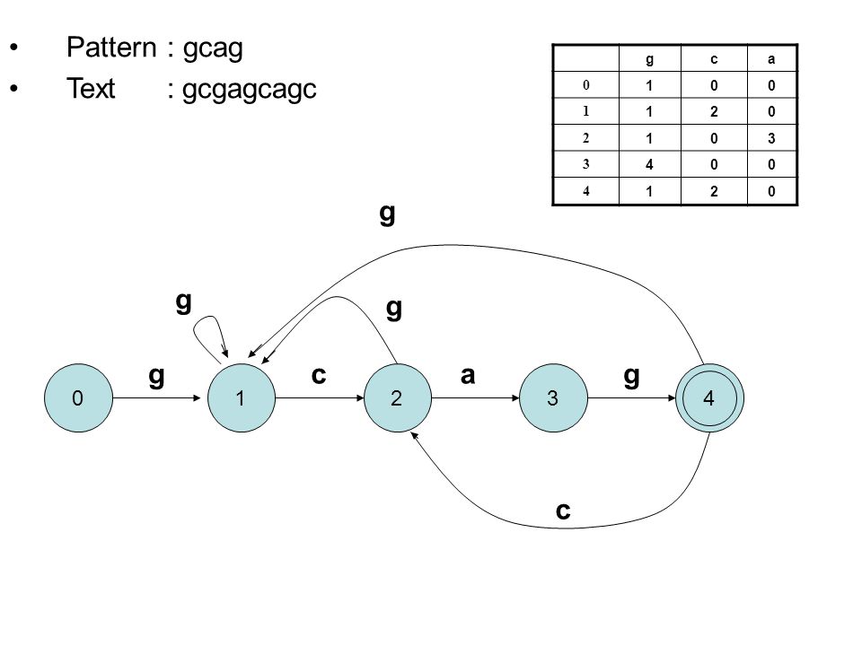 Pattern : gcag Text : gcgagcagc g c a g g g g c a g c