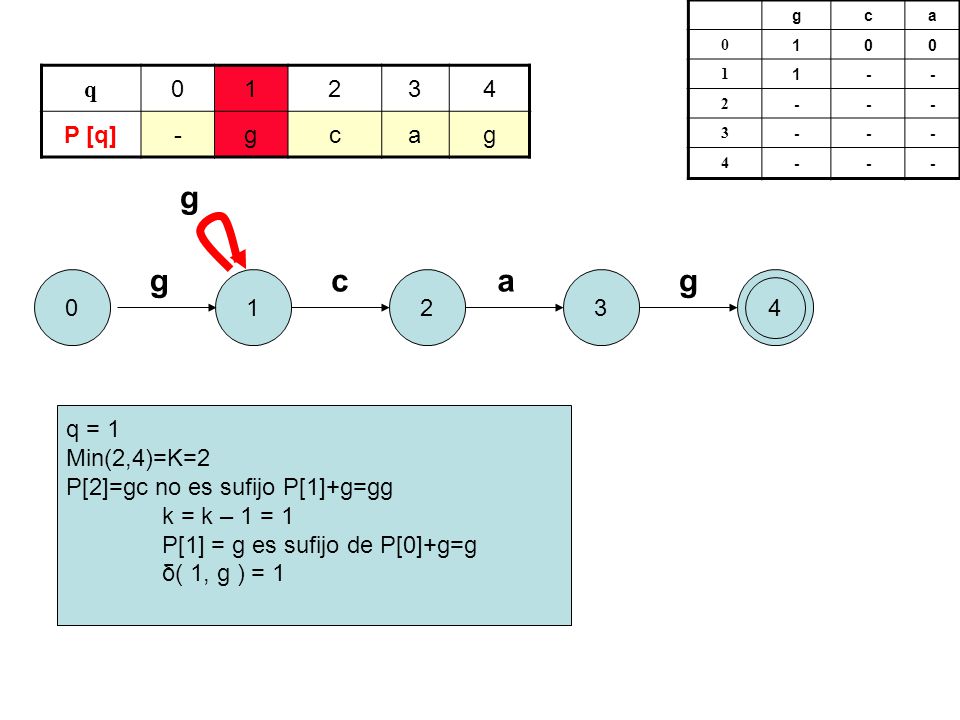 g g c a g q P [q] - g c a q = 1 Min(2,4)=K=2