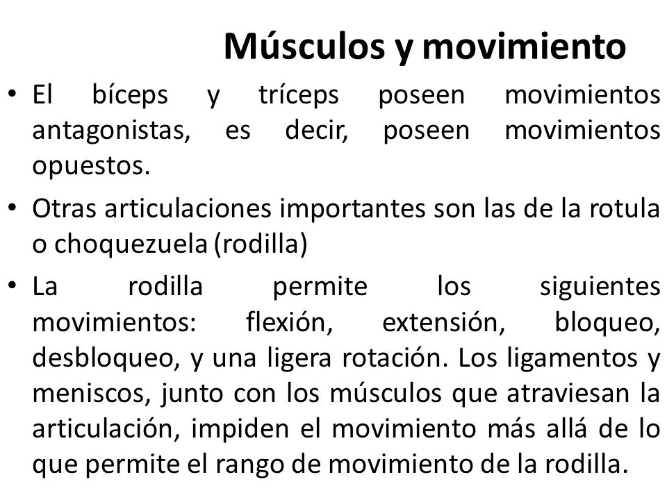 Músculos y movimiento El bíceps y tríceps poseen movimientos antagonistas, es decir, poseen movimientos opuestos.