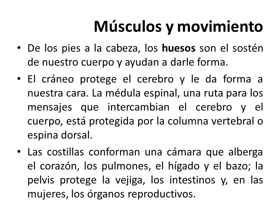Músculos y movimiento De los pies a la cabeza, los huesos son el sostén de nuestro cuerpo y ayudan a darle forma.